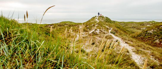 Die dänische Nordseeküste  am Henne Strand